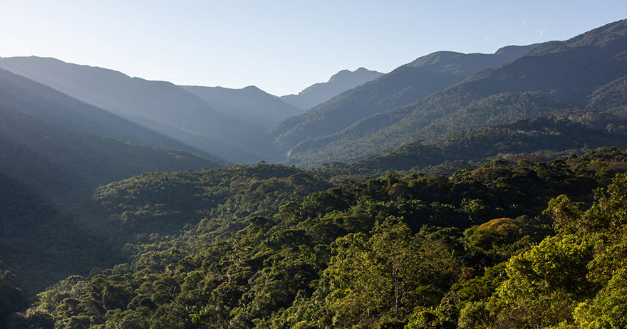 Aproveite a beleza da Mata Atlântica para recarregar as energias para 2021
