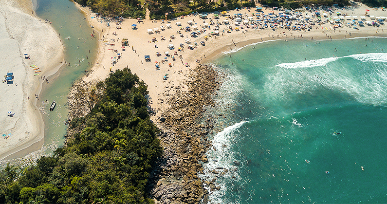 Vem conhecer a incrível flora de São Sebastião